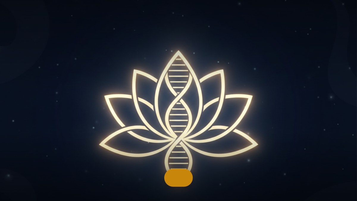 Mindfulness & Meditation