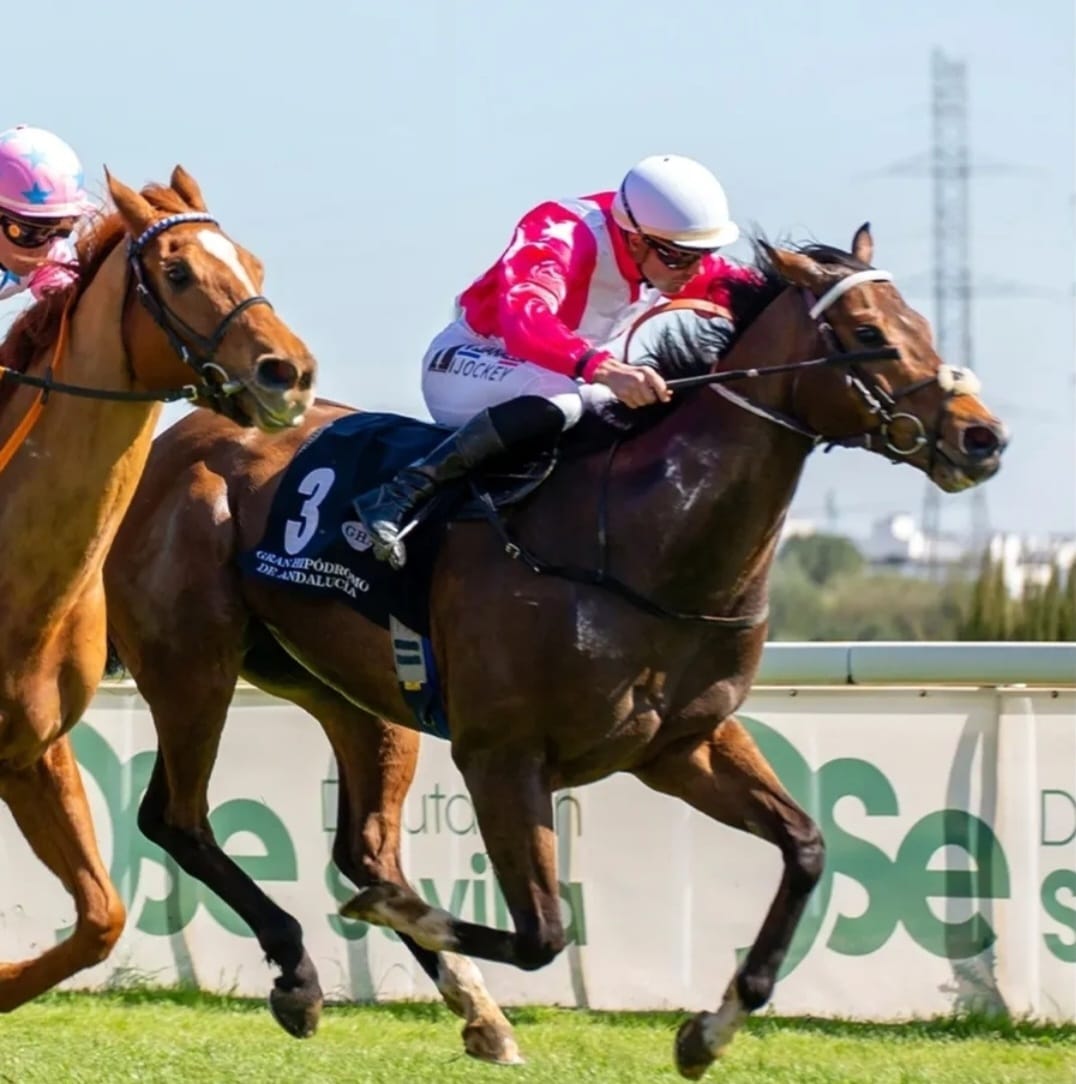 ALASKAN GOLD (IRE) 4