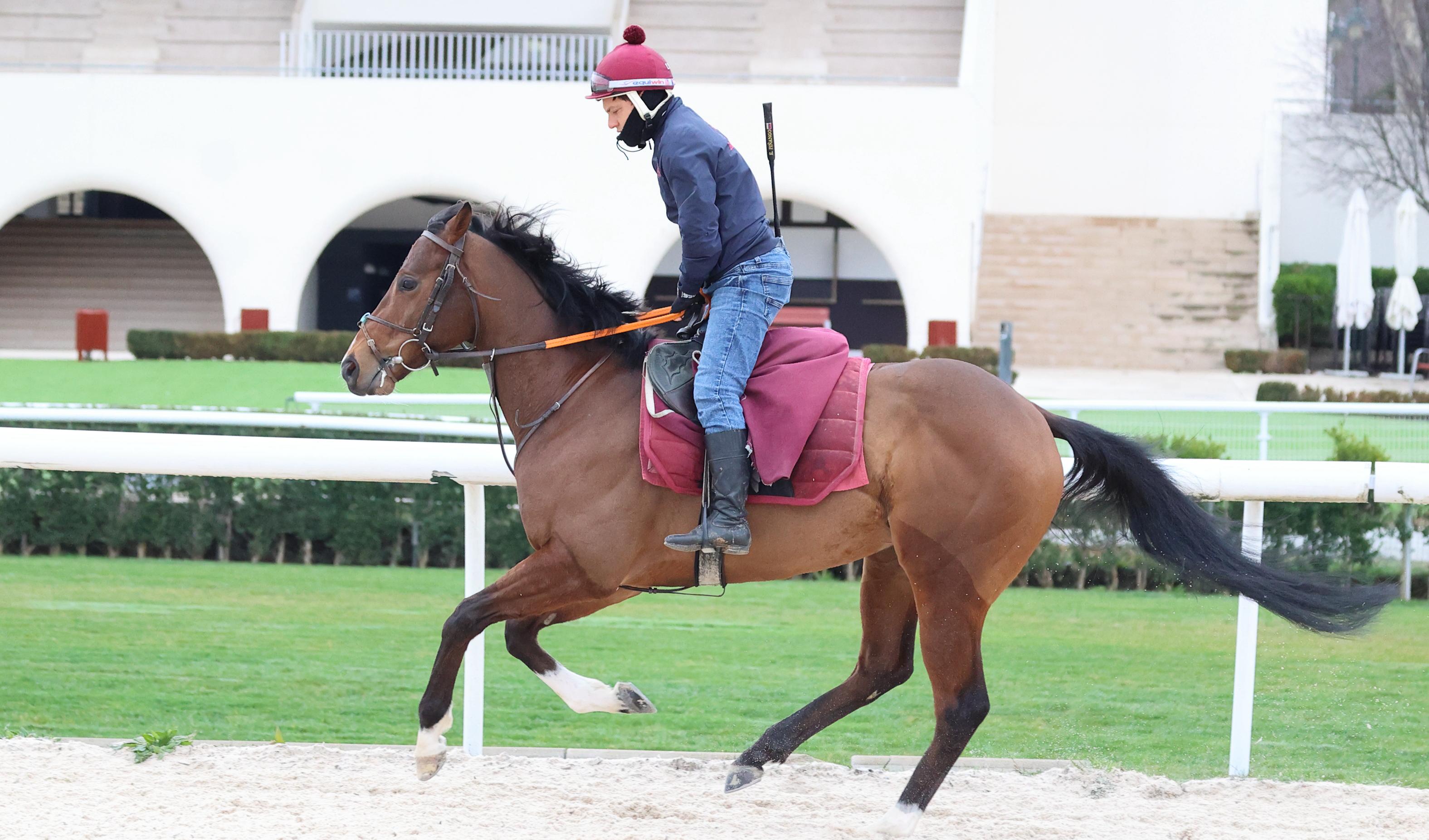 ALASKAN GOLD (IRE) 3