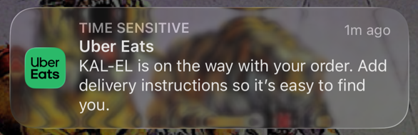 I have high expectations for the delivery time