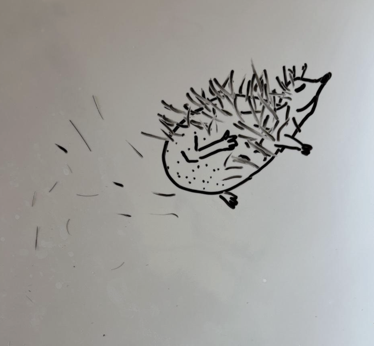 Every day my husband is brushing his beard over the sink. I left him a clue to do better.