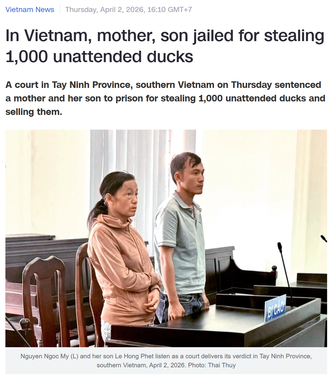 Turns out the ducks at the park aren't free and you can't just take them