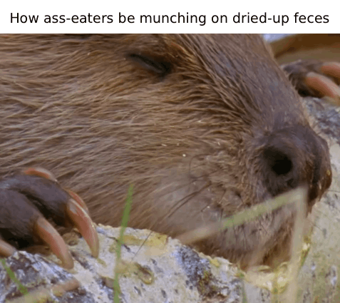 And you know each other for about an hour...