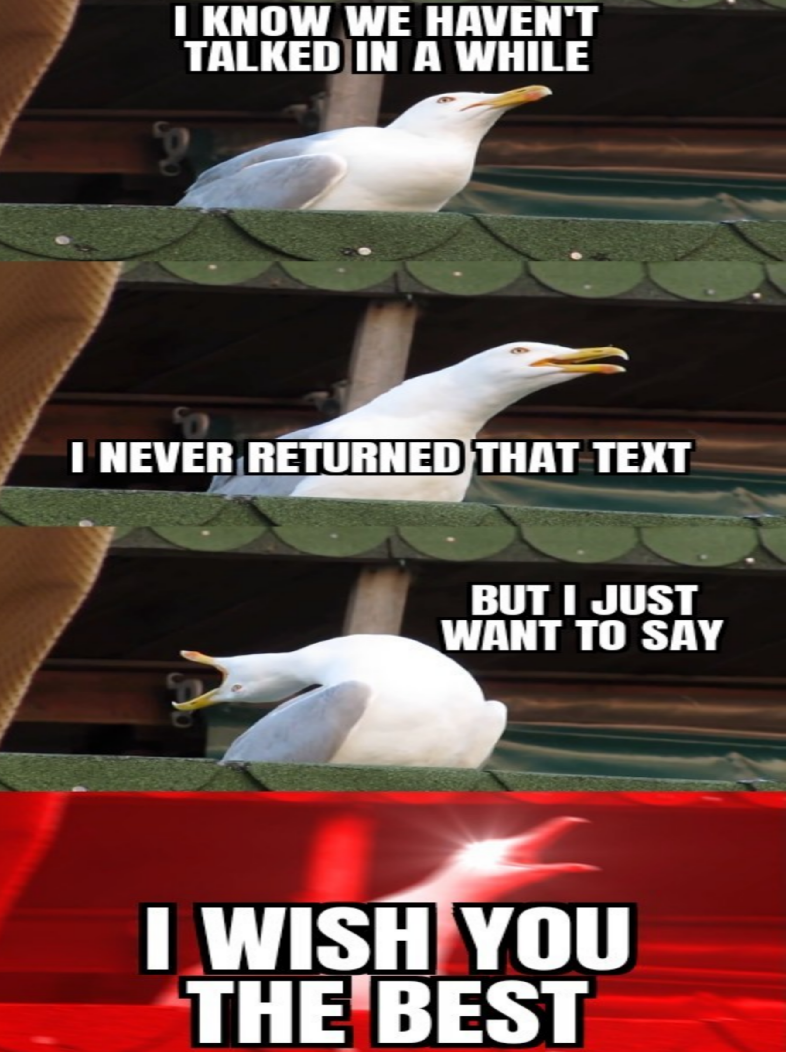 Sometimes you lose touch