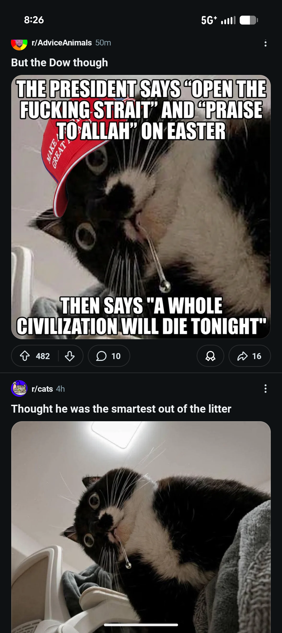 Lolol I love Reddit sometimes.