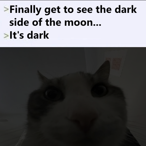 The dark side of the moon