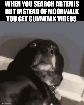 the algo knows best for you