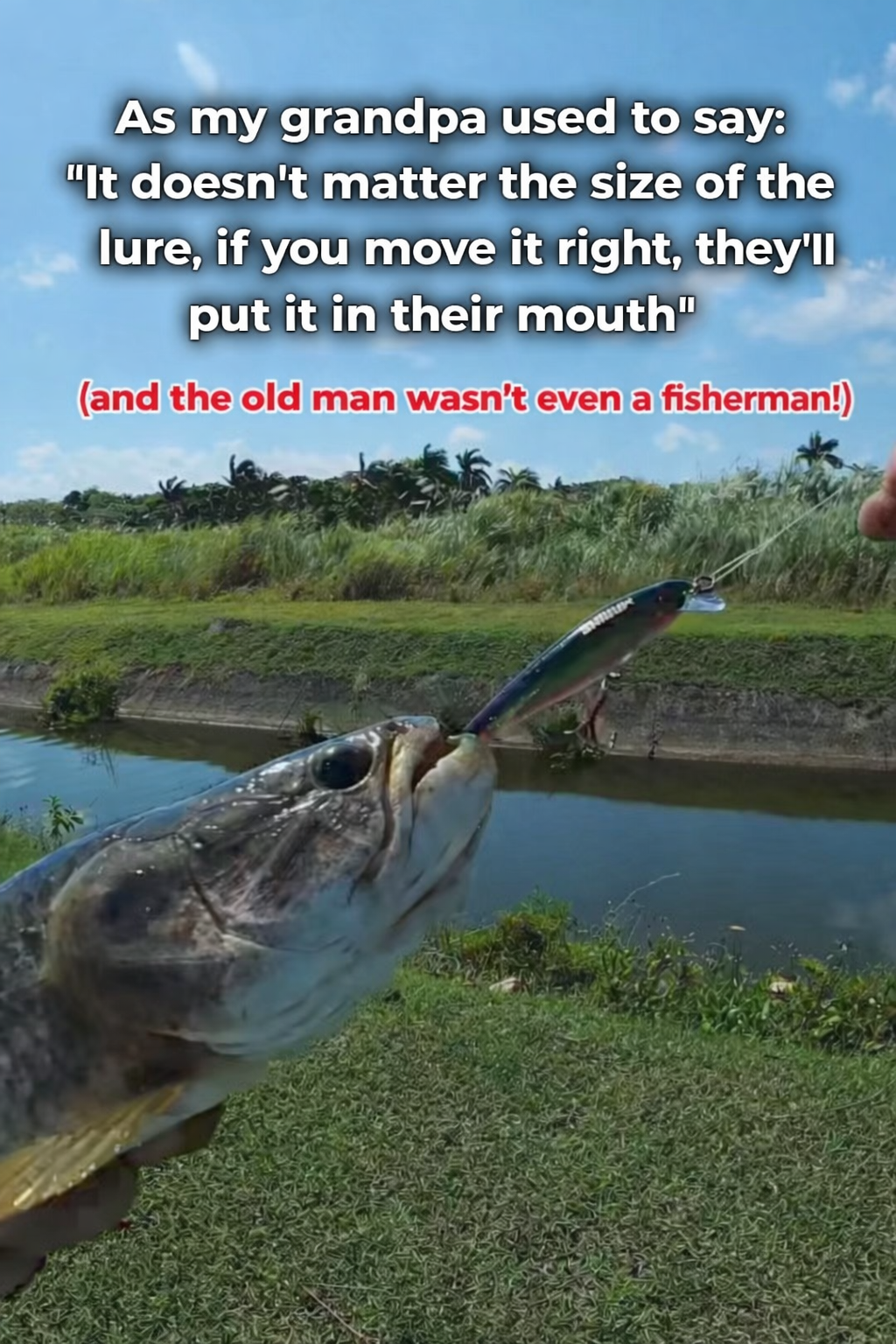 Wisdom of the old man