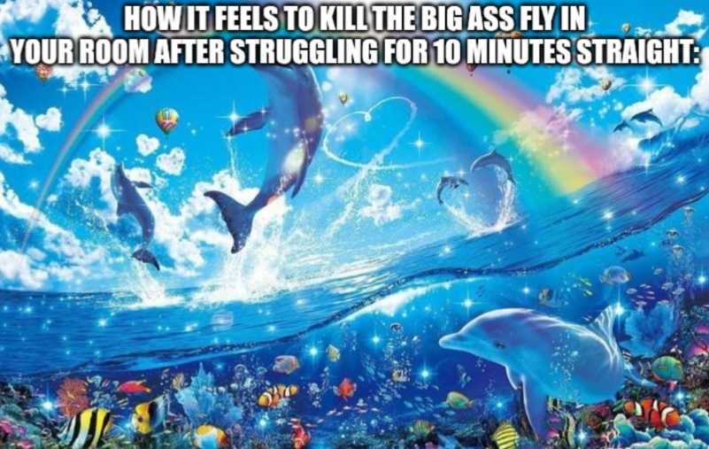 WHY DOESN'T IT JUST FLY OUT THE WINDOW ALREADY?!!!