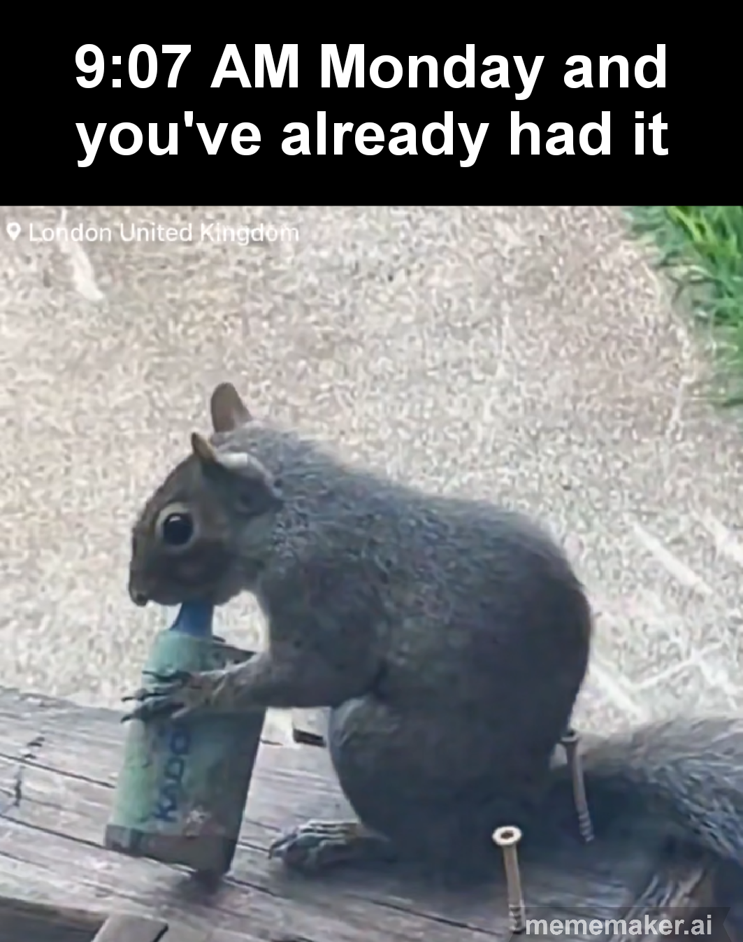 Just need a minute bro