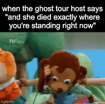 worth the price of admission