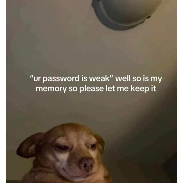 IT: ‘Your password must include 12 characters, a symbol, and a sacrifice.’
Me: