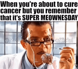 I've got my priorities straight!