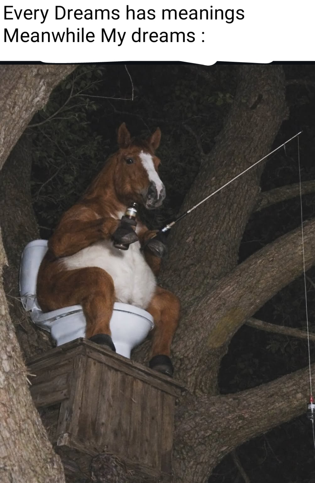 Dreams can be so weird