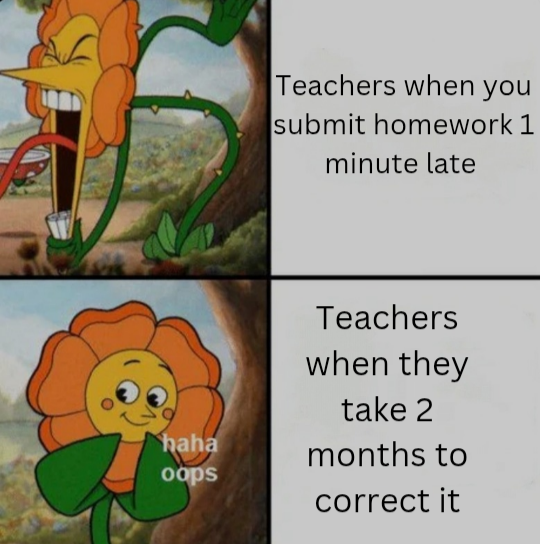 Teachers be like