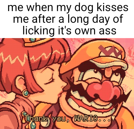 I cannot emphasise enough how much I mean the dog and not me