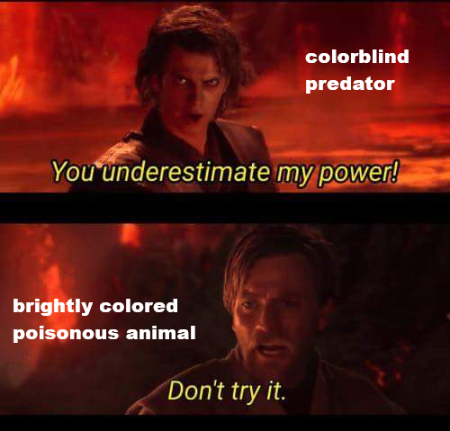 poisonous animal