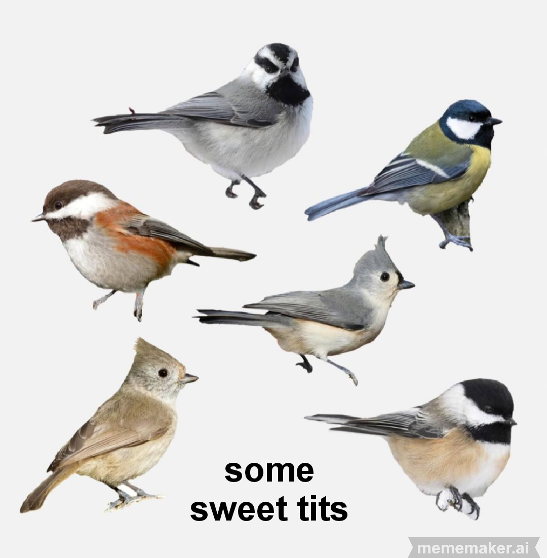 Very noice