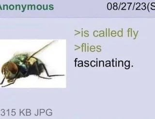 me_irl