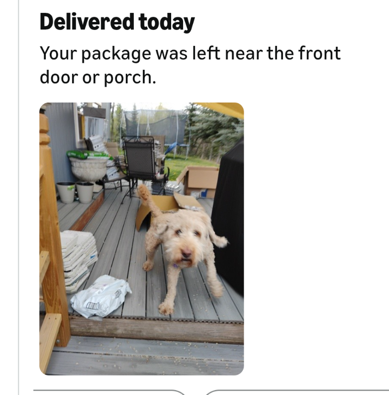 Delivery photo surprise