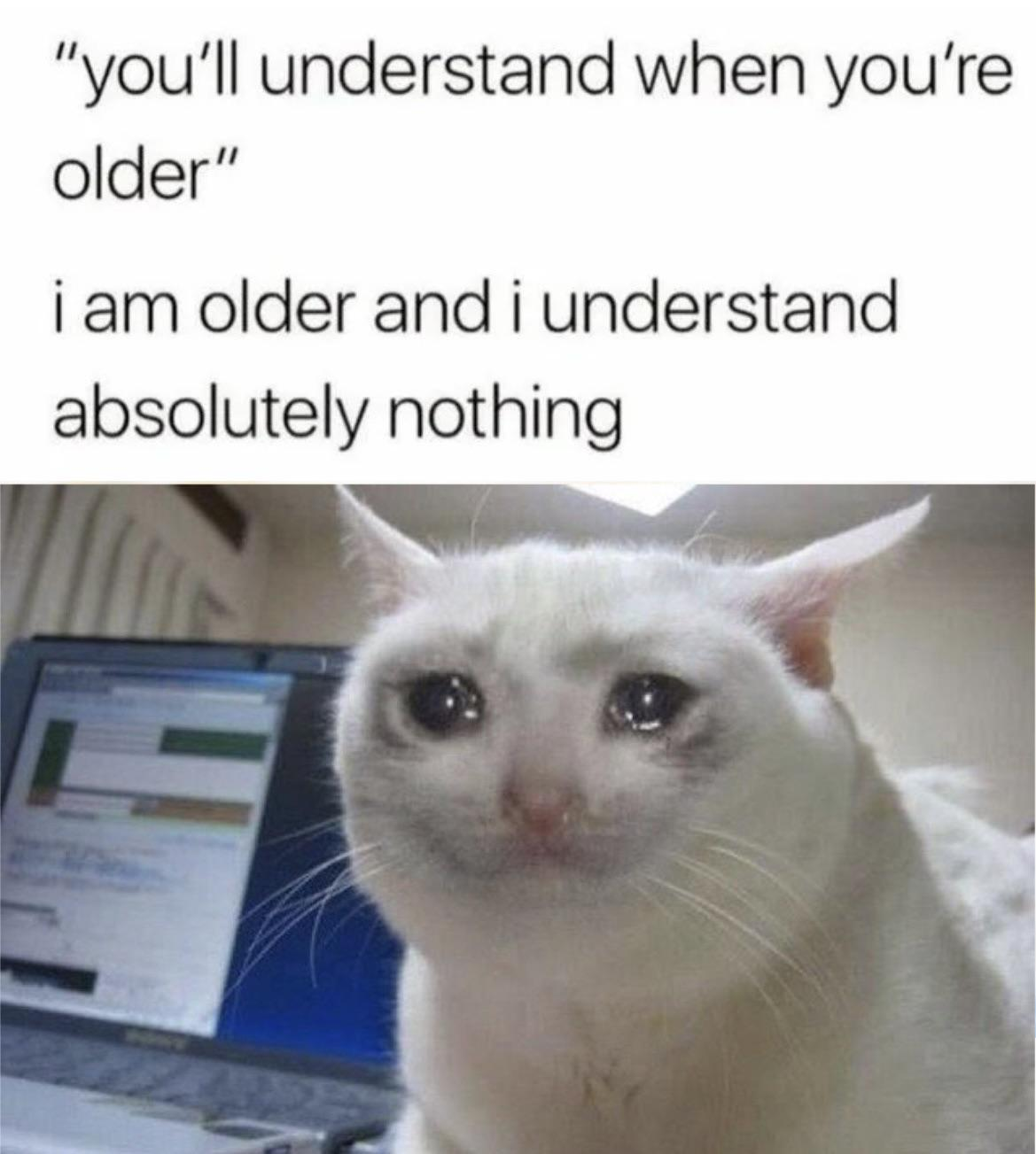 Me_irl