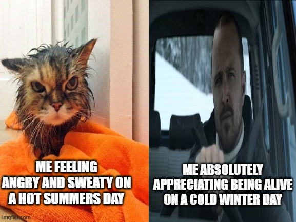 me irl