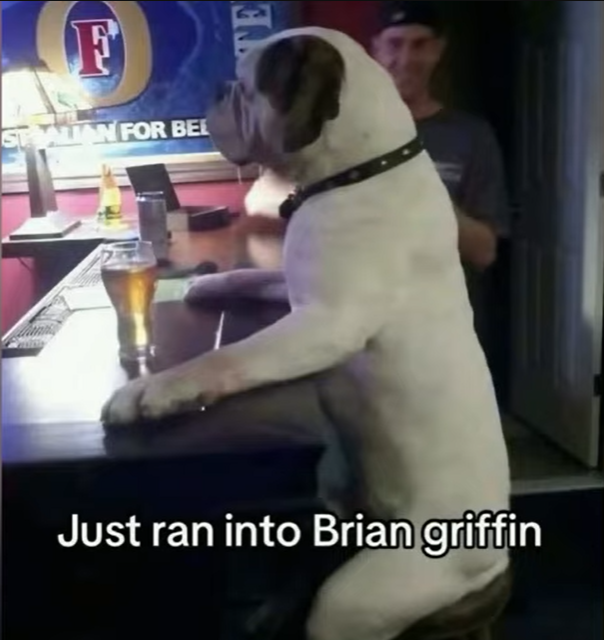 Brian Griffin?
