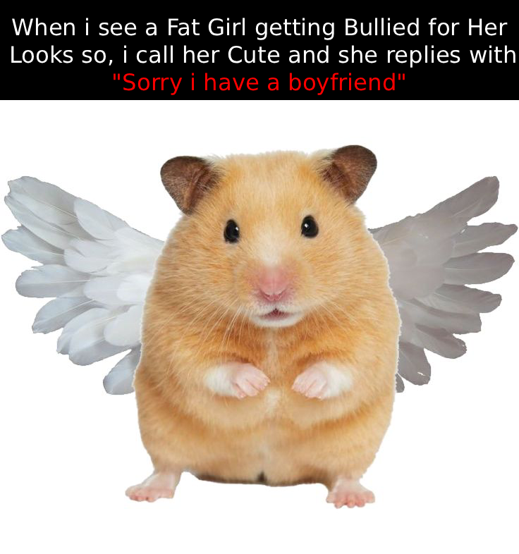 i am Just a Sensitive Young Man in the World of evil Foids