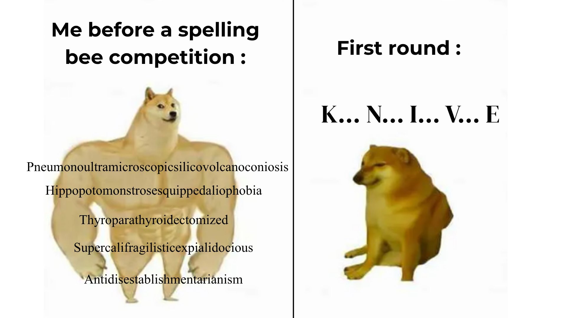 My spelling bee experience in a nutshell...