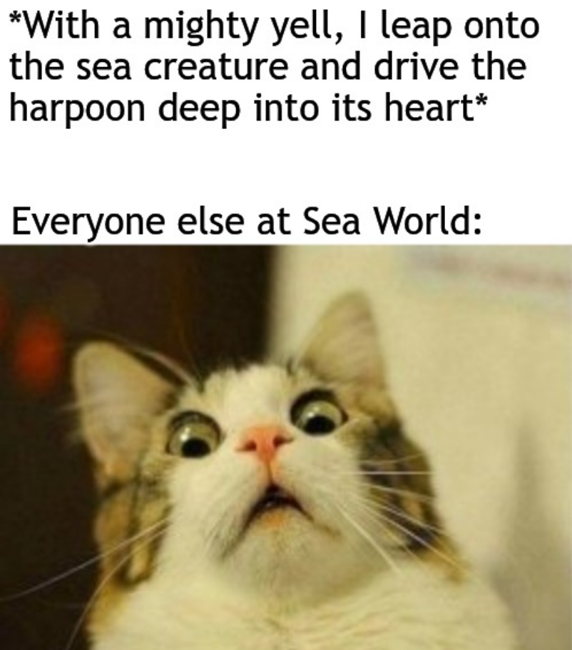 Oh, aye, cap'n.