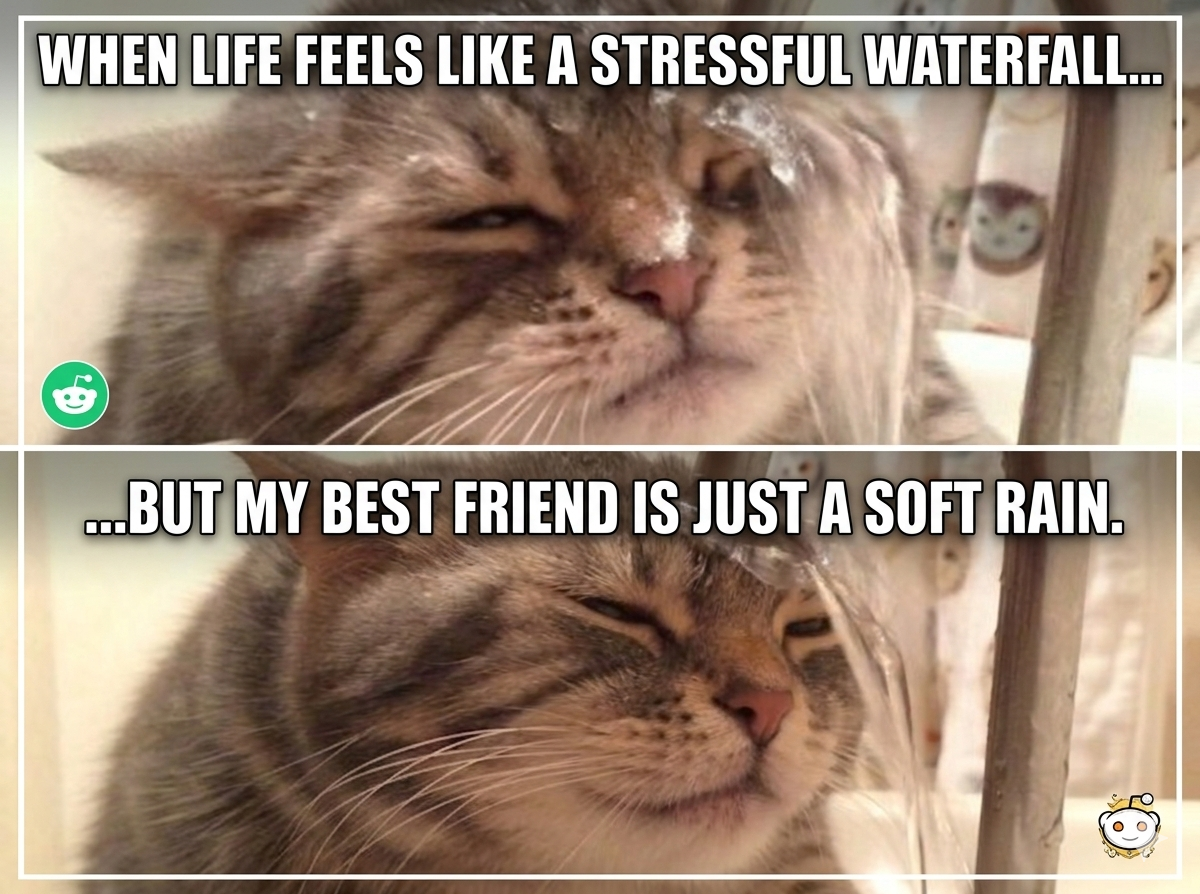 Friends are the best.