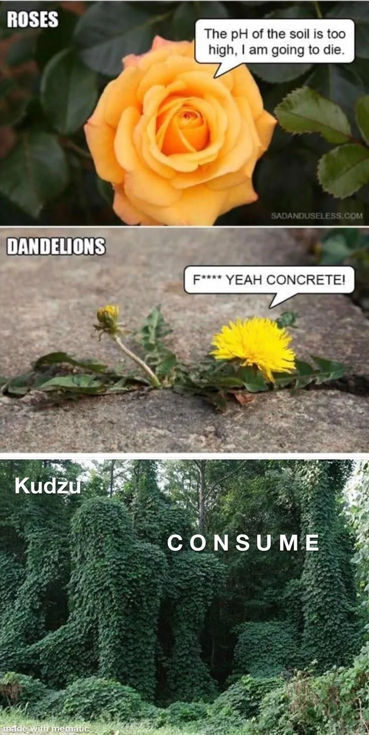 me_irl