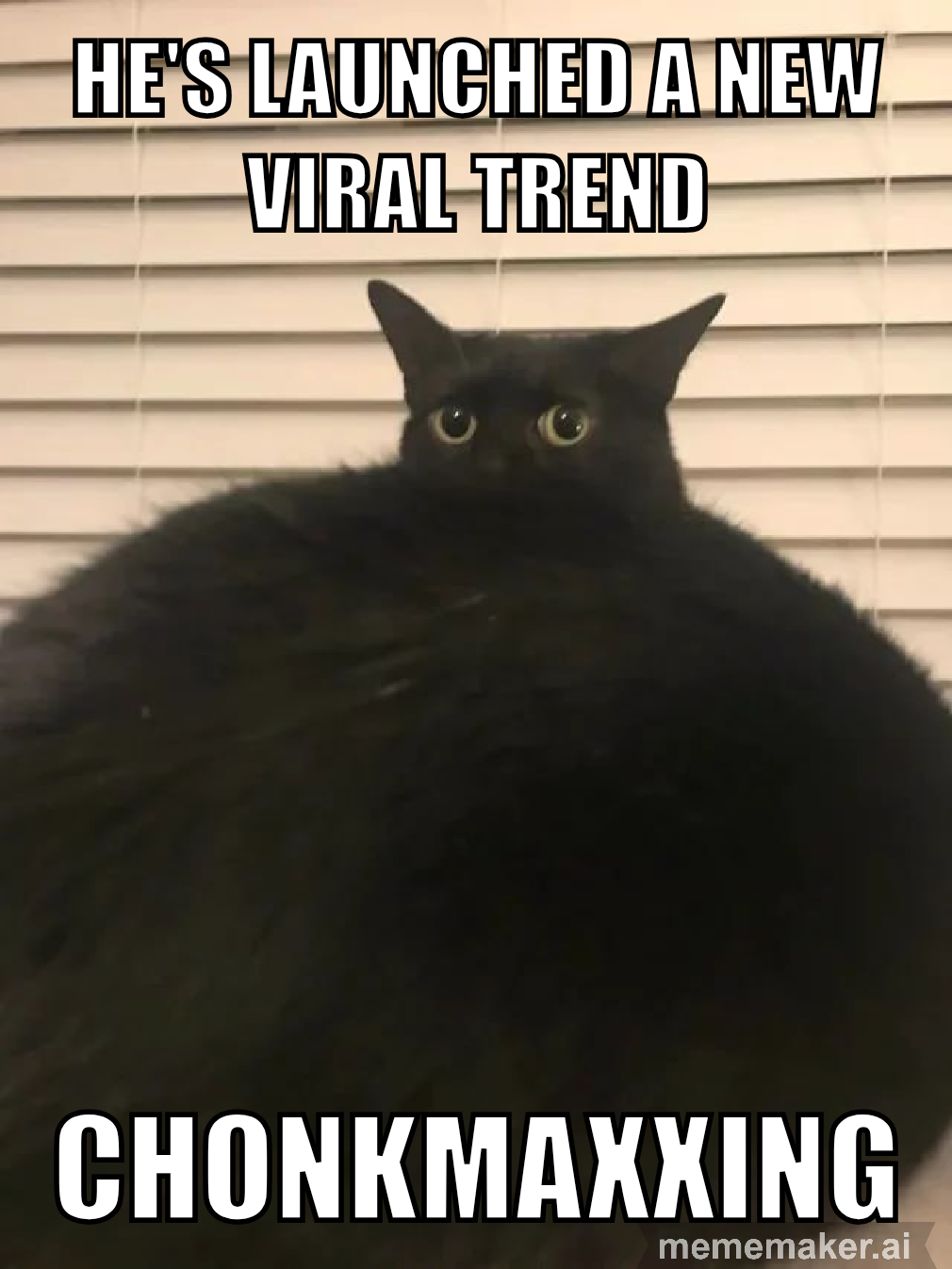 Watch out, looksmaxxers