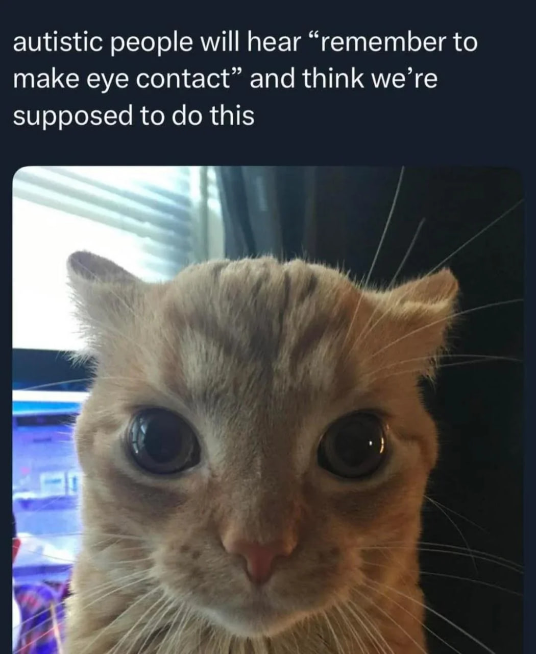 Me_irl