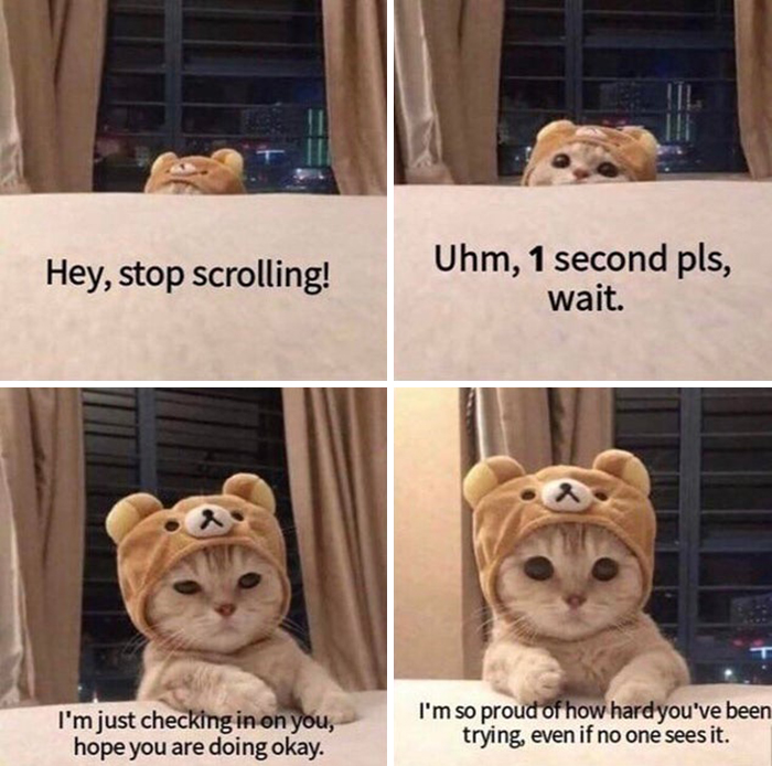 Hey stop scrolling! I'm just checking in on you, hope you're doing okay