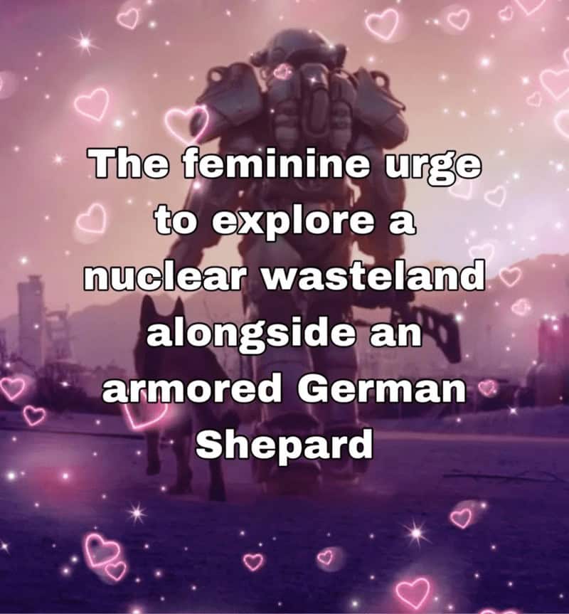 The feminine urge to explore a nuclear wasteland alongside an armored German Shepherd