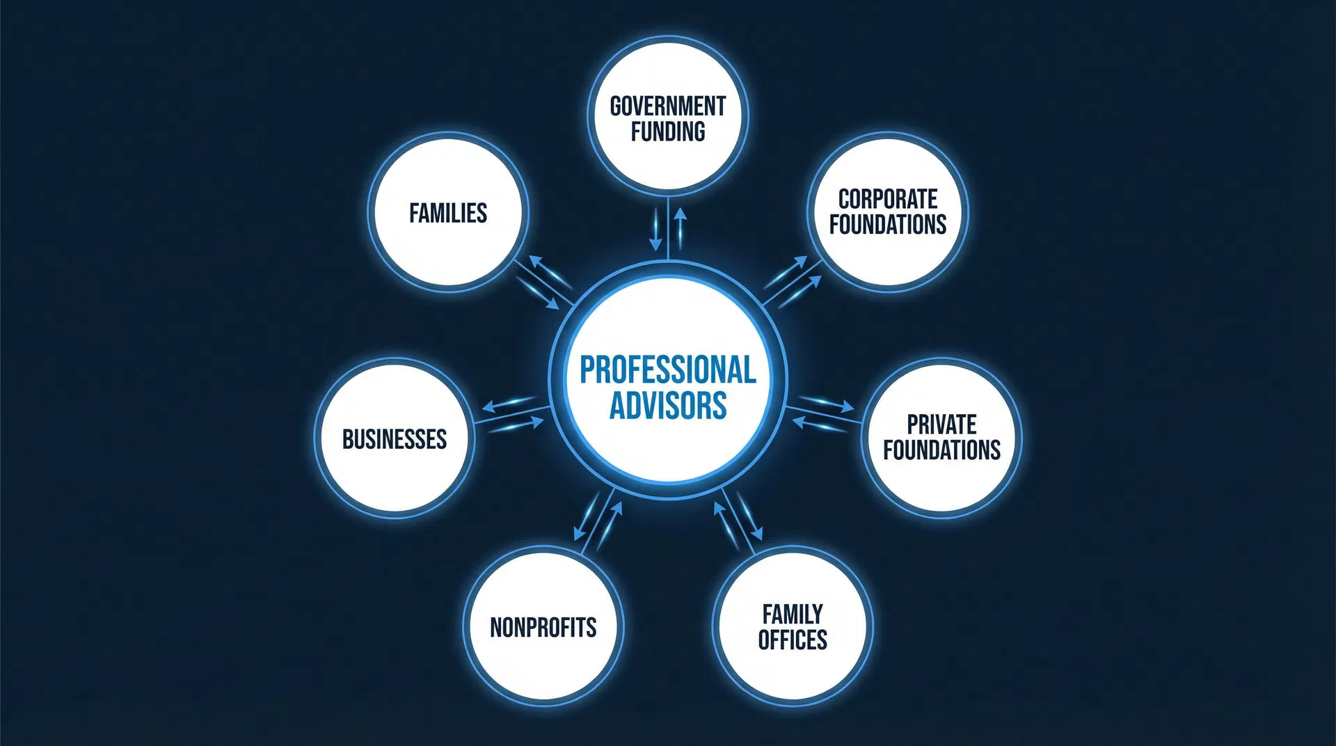 Capital Flow Ecosystem — Professional Advisors at the center connecting Government Funding, Corporate Foundations, Private Foundations, Family Offices, Nonprofits, Businesses, and Families
