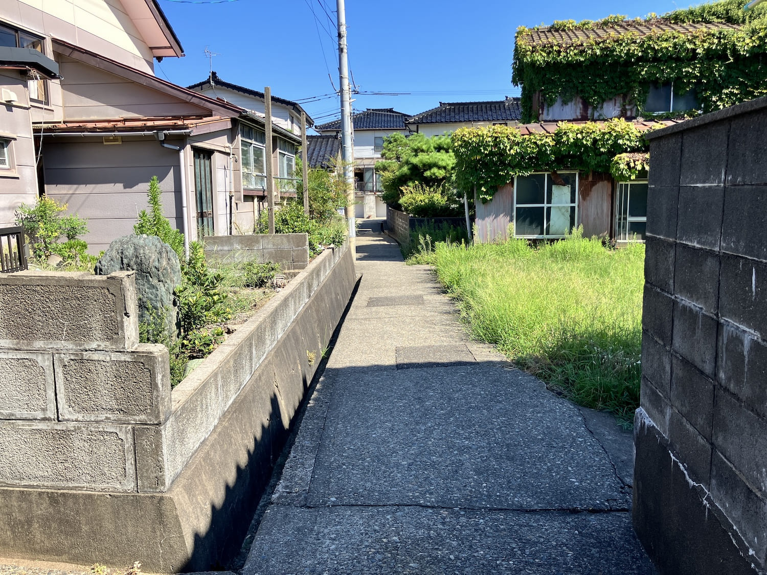 detached 