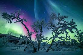 Échappée en Laponie - Départ de Province