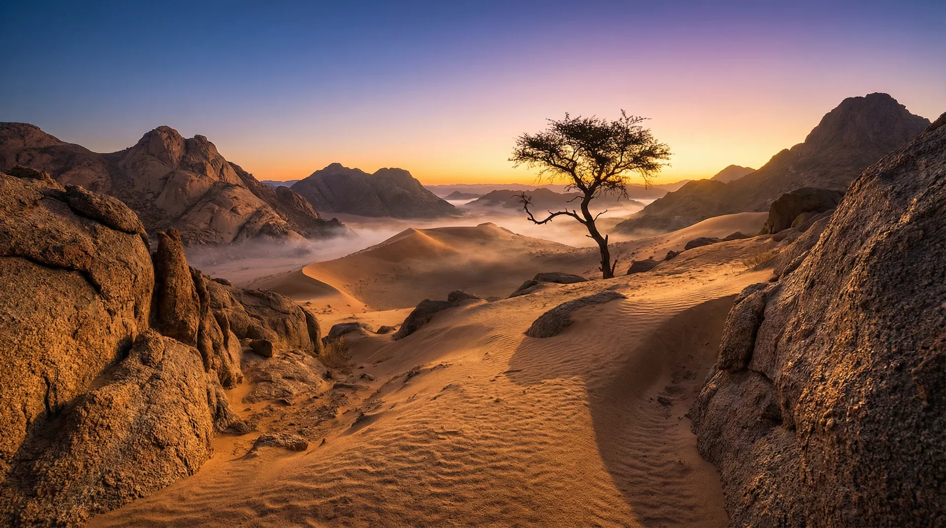 Sinai Desert at Dawn — The Wilderness of Wandering