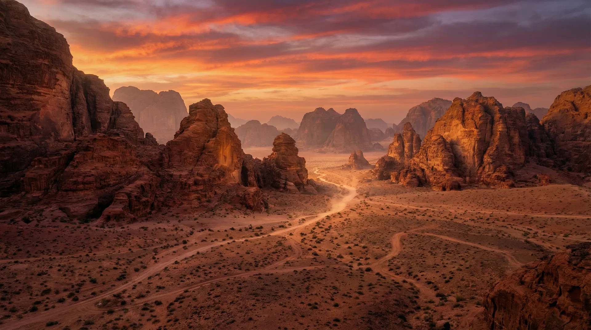 The Sinai Wilderness