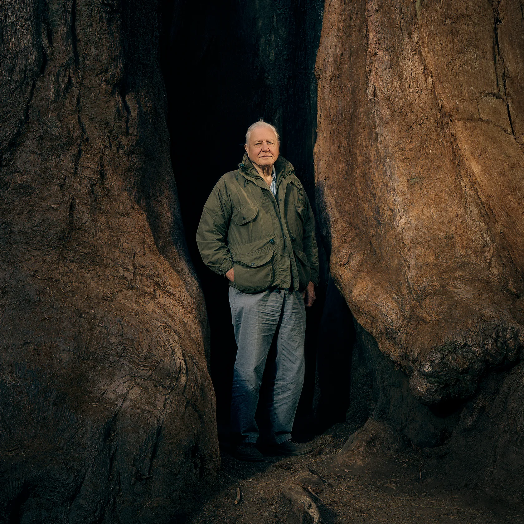 A Hundred Years of David Attenborough