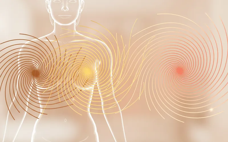 Phasenwinkel unter Hormontherapie: Was eine Longitudinalstudie über systemische Anpassungen verrät