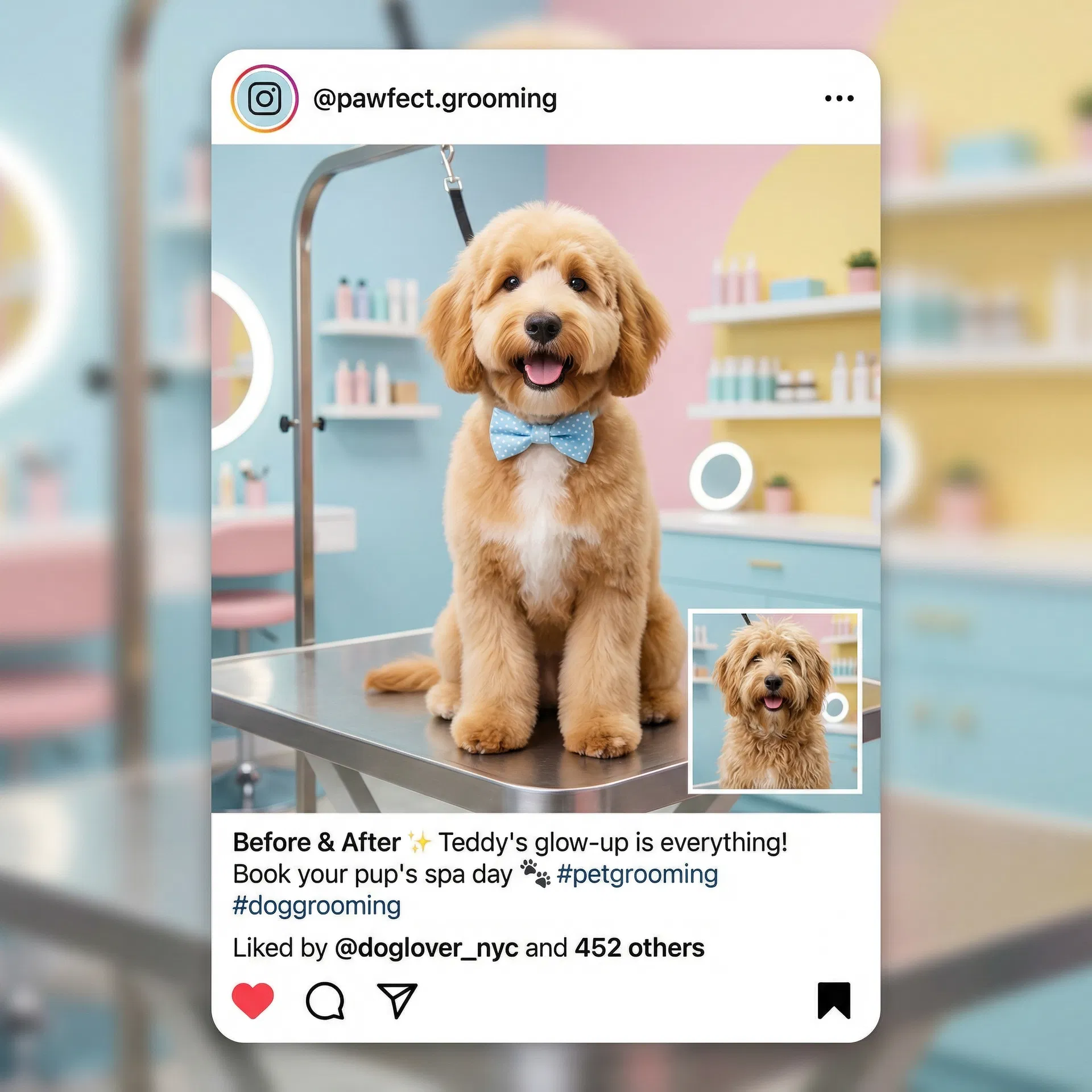 Pet Grooming Post