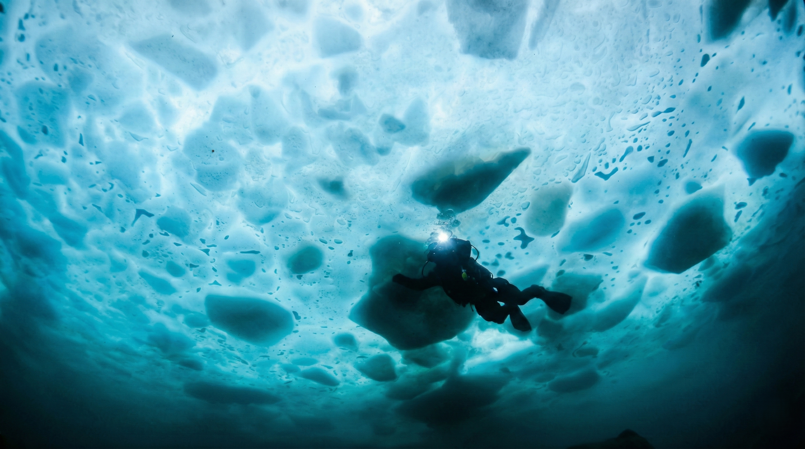 サービスの特徴1