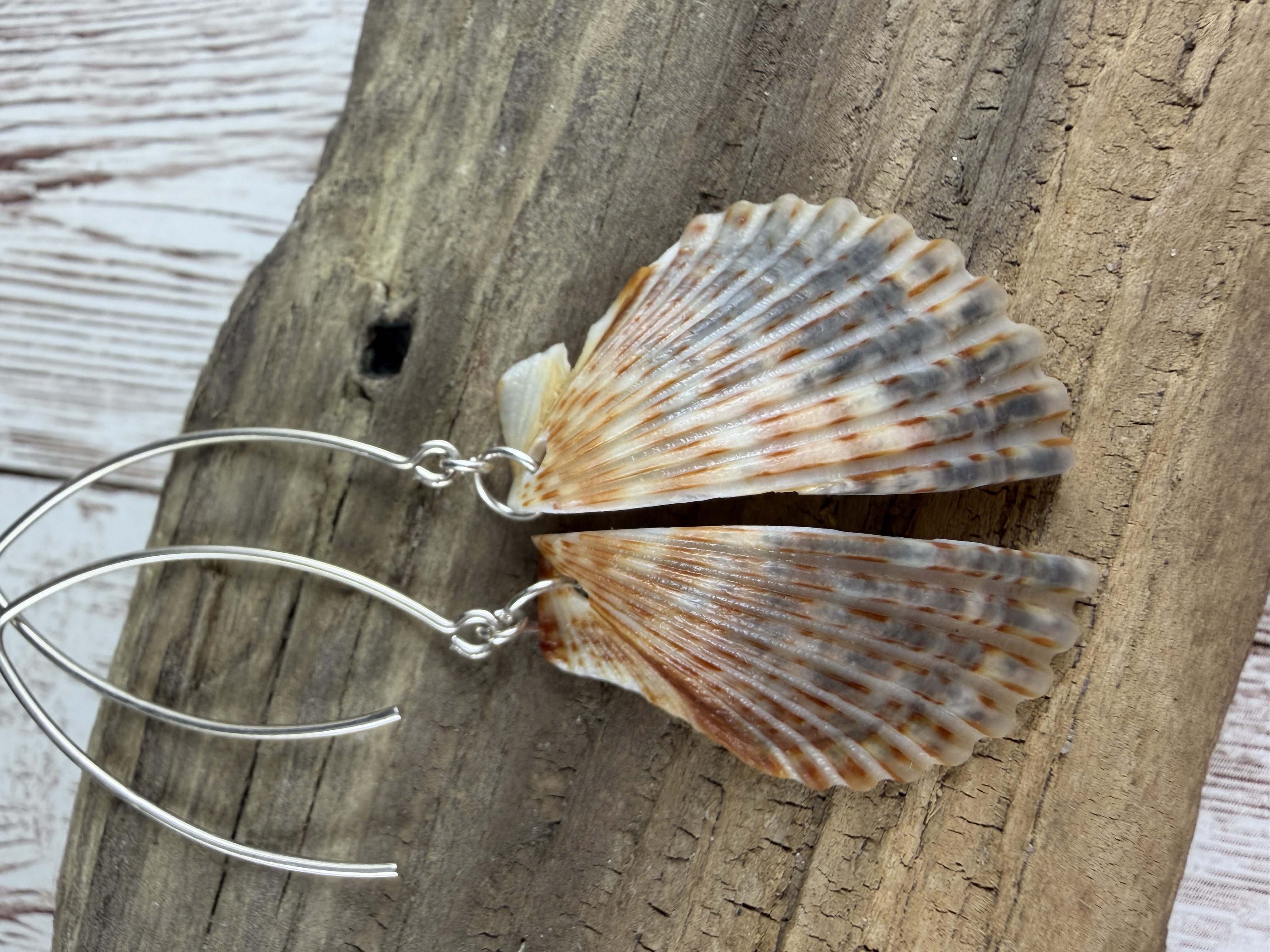 Half Shell Earrings thumbnail 5