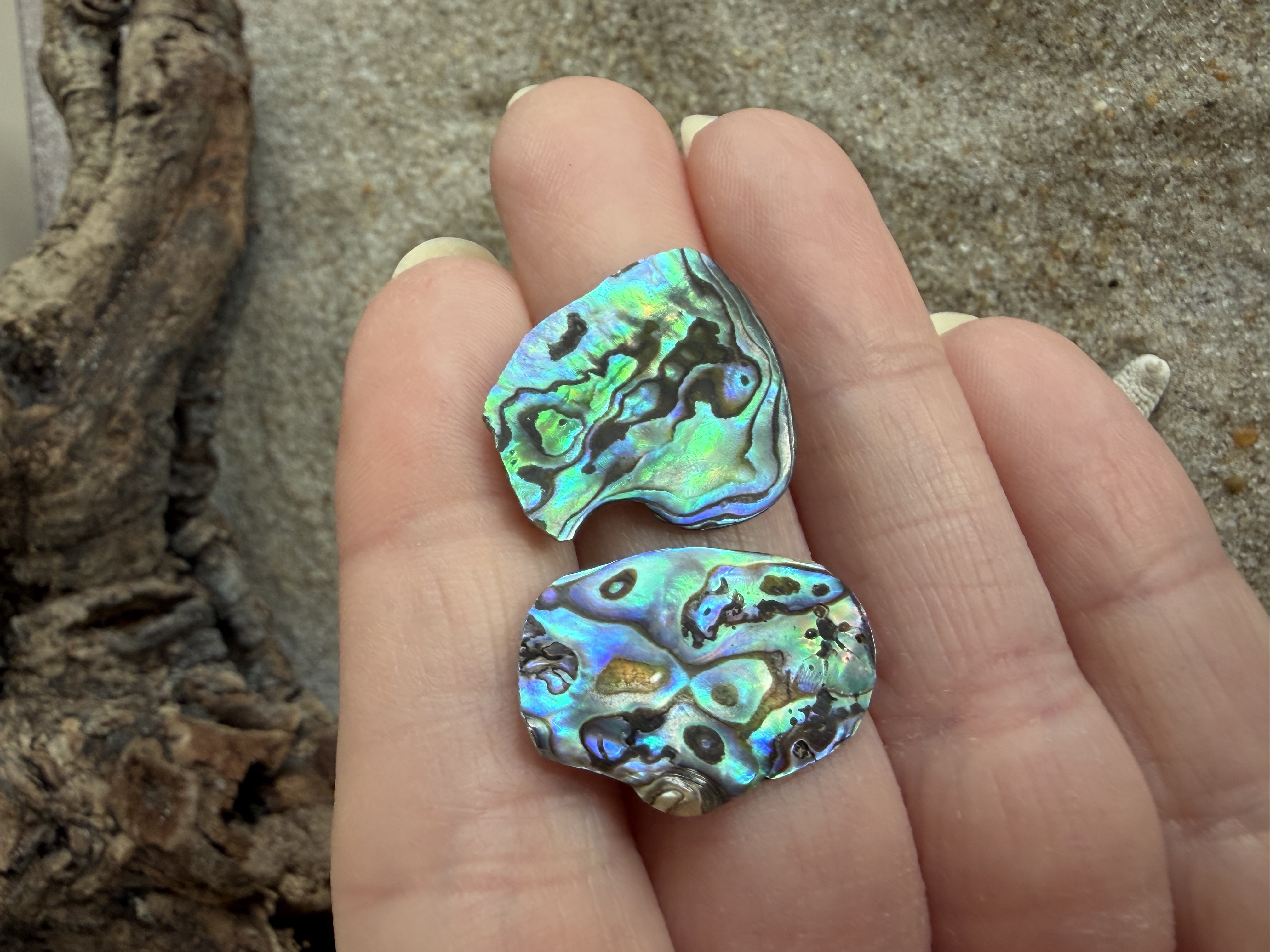 Abalone Shell Studs thumbnail 2