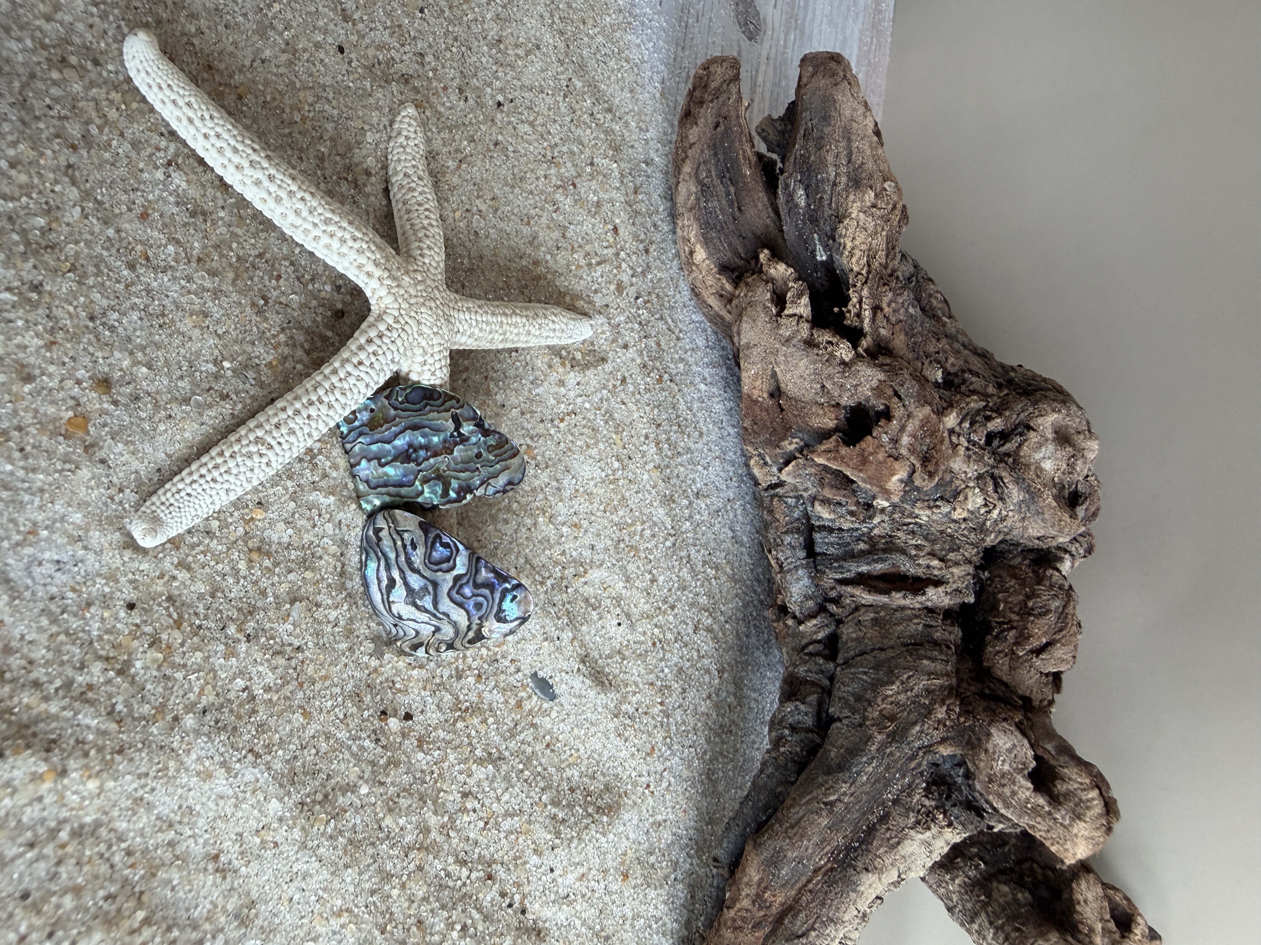 Abalone Shell Studs thumbnail 4