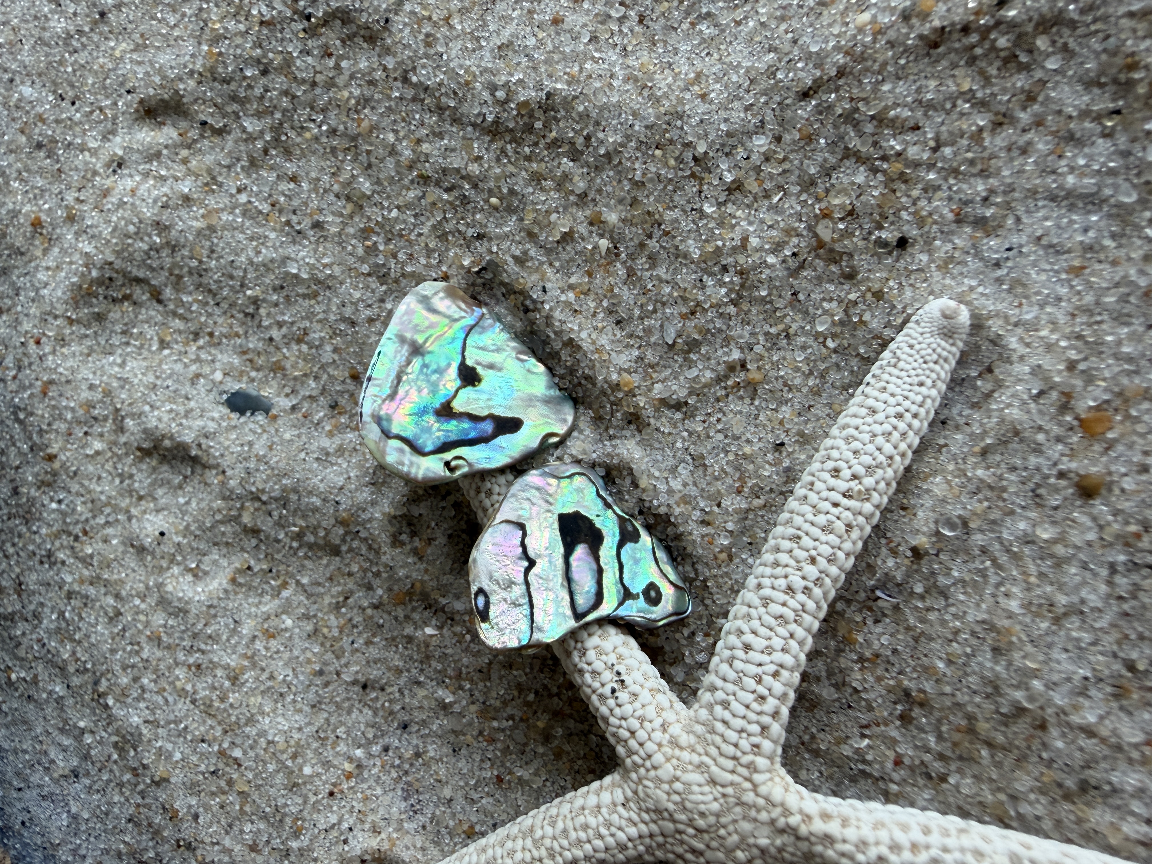 Abalone Shell Studs thumbnail 3