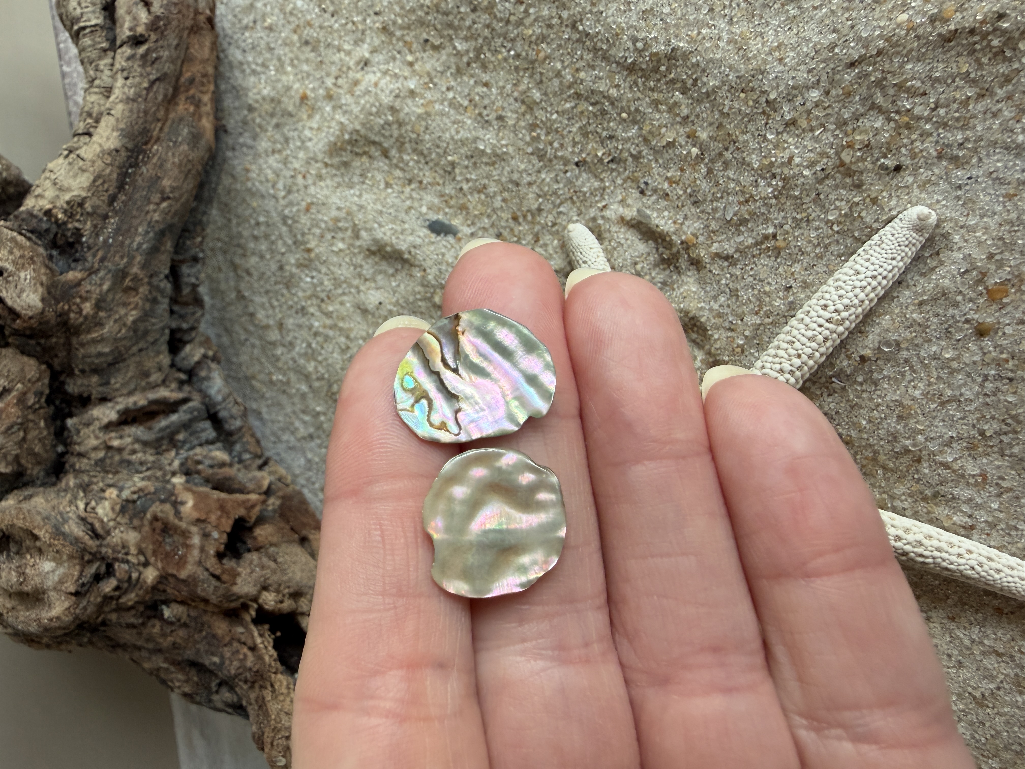 Abalone Shell Studs thumbnail 2